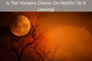 Is The Vampire Diaries On Netflix? (Is It Leaving)